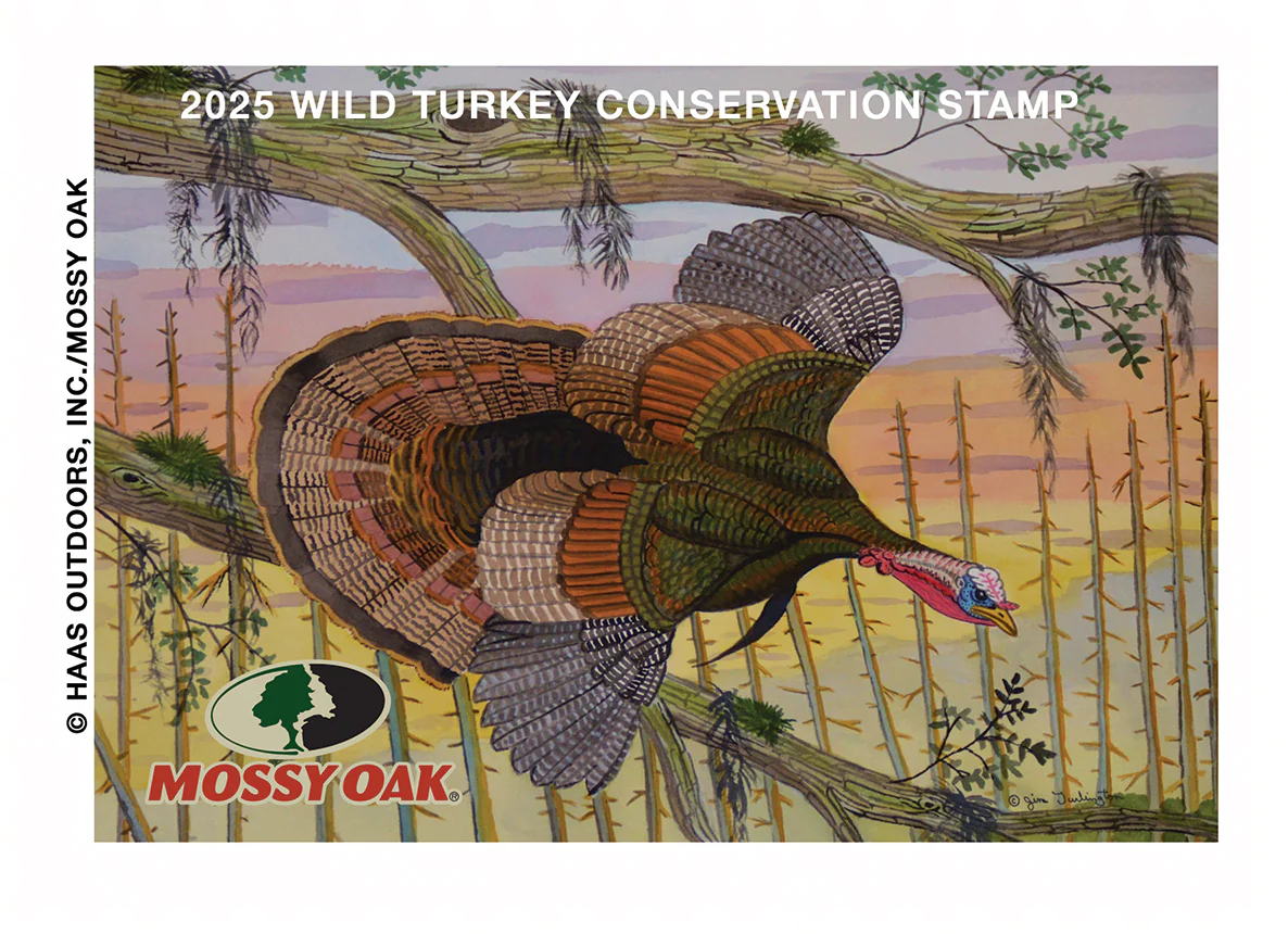 2025 Wild Turkey Stamp