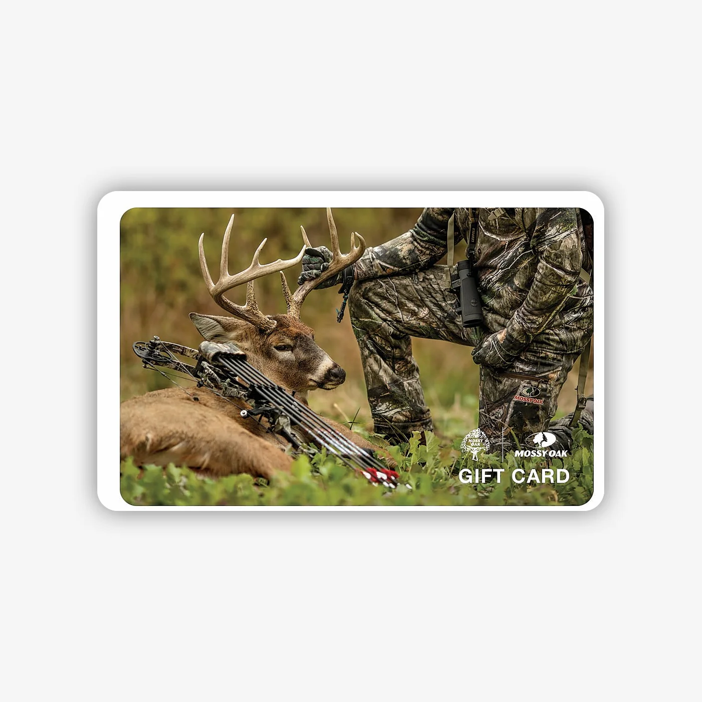 Digital Gift Cards - Image 10