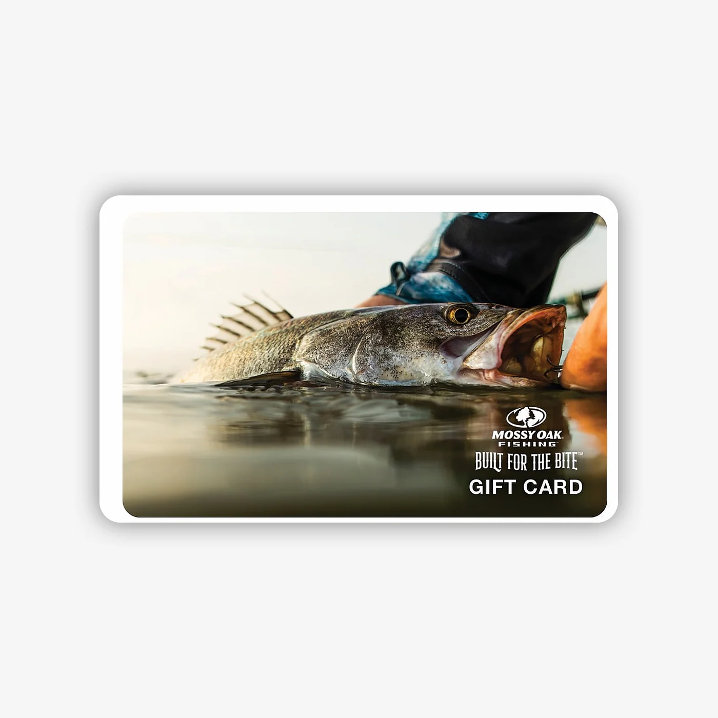 Digital Gift Cards - Image 14