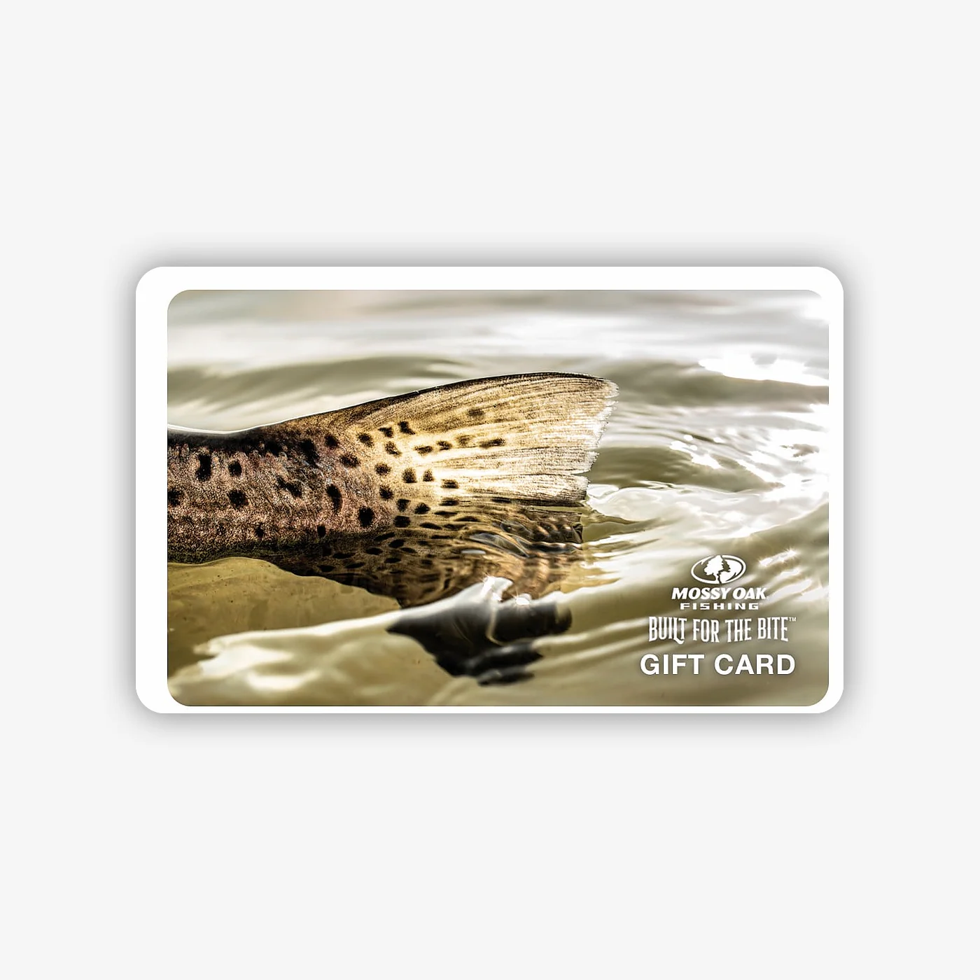 Digital Gift Cards - Image 15