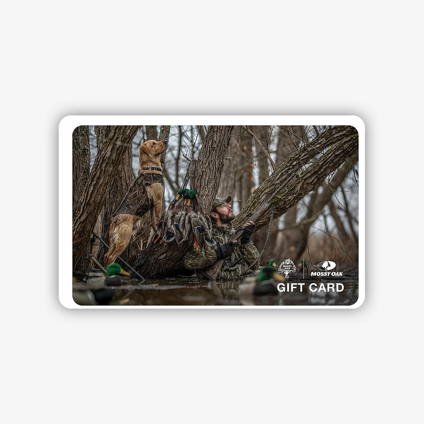 Digital Gift Cards - Image 16