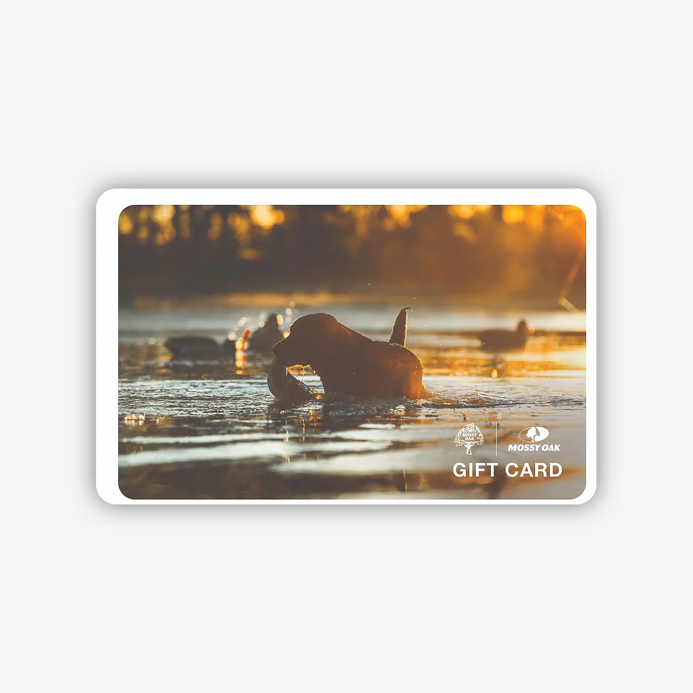 Digital Gift Cards - Image 19