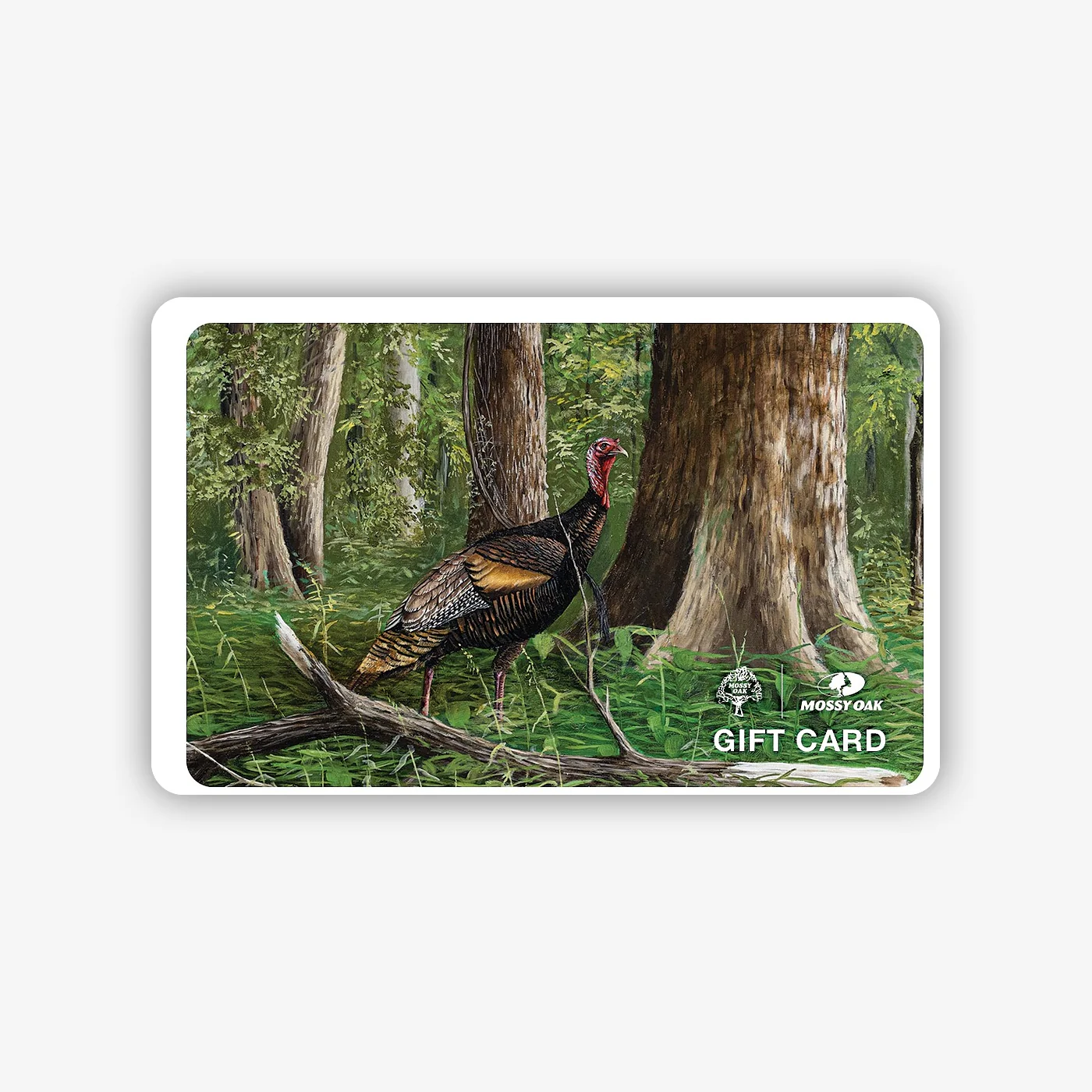 Digital Gift Cards - Image 6