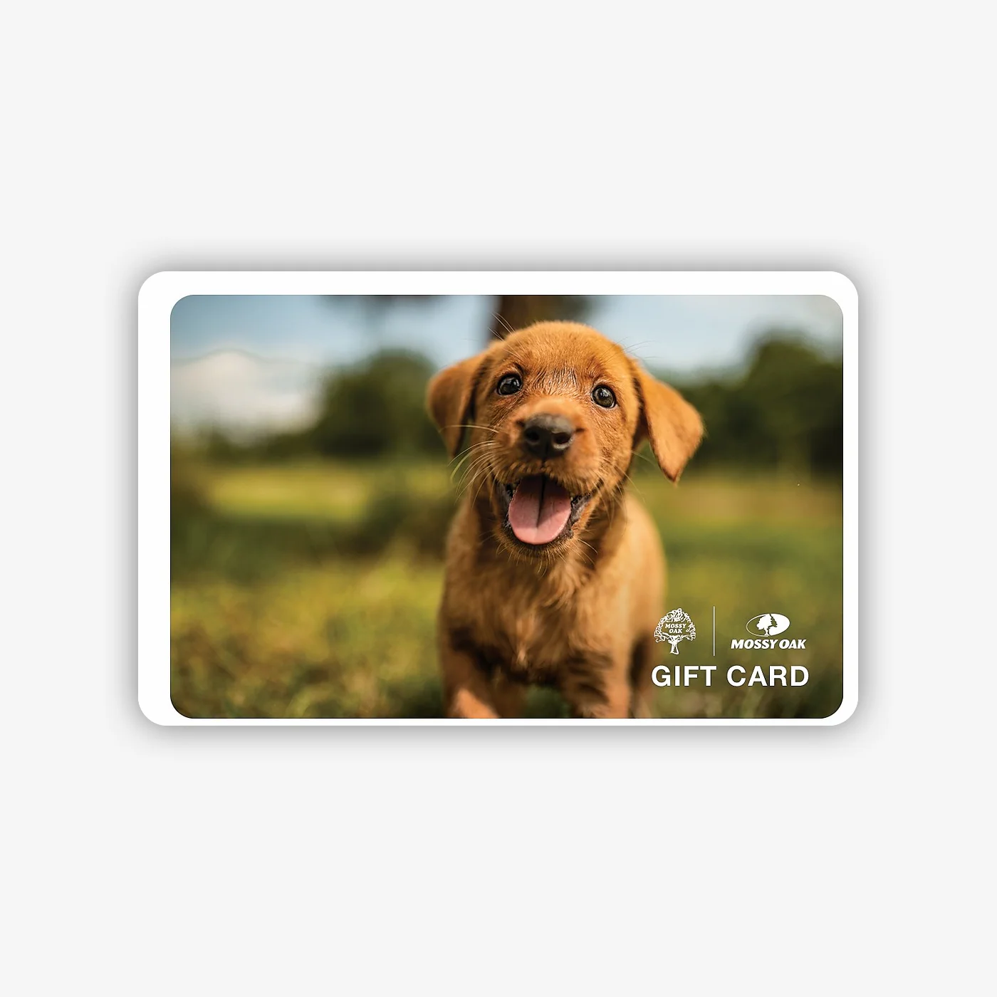 Digital Gift Cards - Image 9