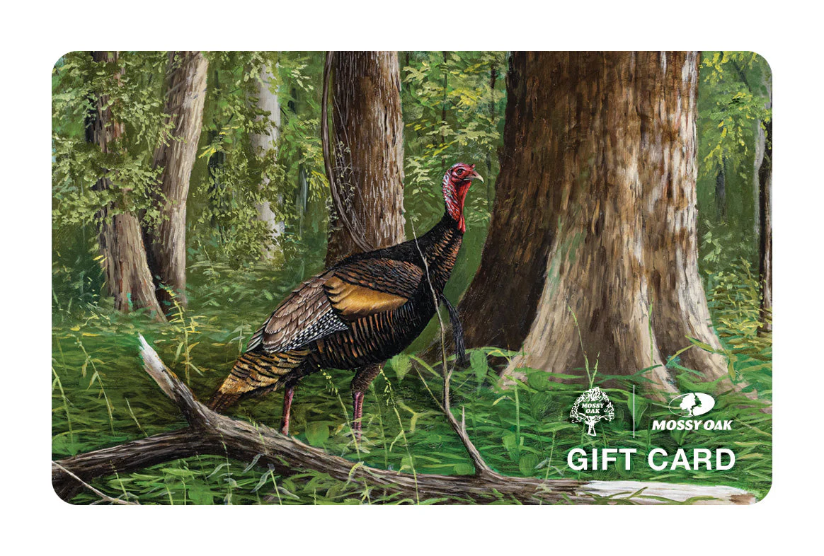 Gift Cards - Image 2